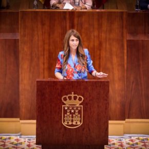 Esther Ruiz (Cs): “Lamentamos la pérdida del Palacio de los Duques de Osuna de Aranjuez tras el incendio de ayer”